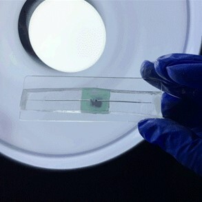 Liquid metal to fabricate stretchable mini antennas