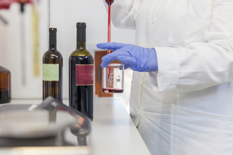 AWRI board announces three appointments and opens nominations for elections