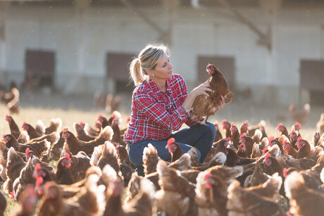 Building the chicken meat workforce, traineeship program