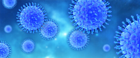 Immune cells in older adults fall short in virus detection
