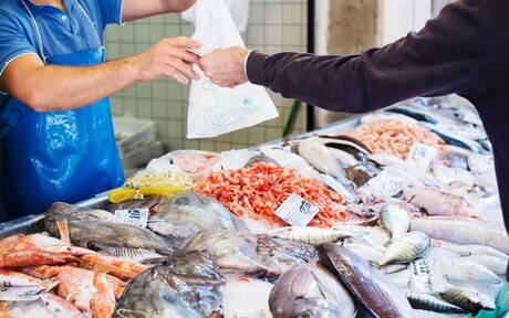 New tool for tackling seafood fraud