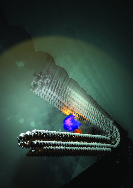 Researchers design a pulsing nanomotor Researchers design a pulsing nanomotor
