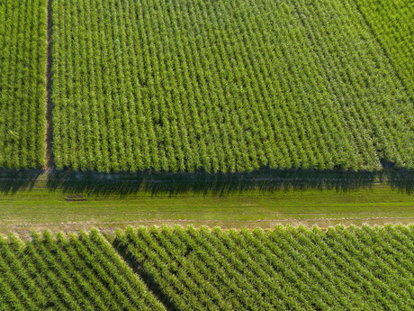 Sustainability metrics to be updated across agriculture supply chain