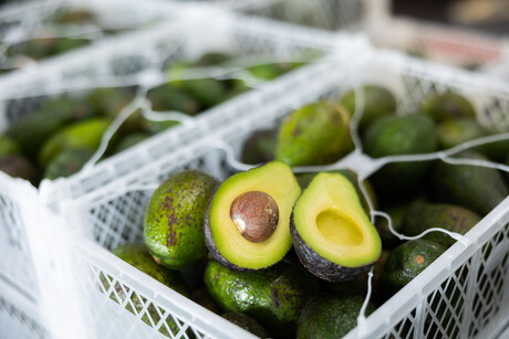 One step closer to exporting Aussie avocados to China