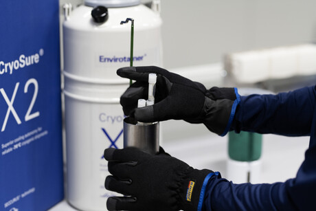 Orthocell adopts CryoSure solution for shipping advanced cell therapies Orthocell adopts CryoSure solution for shipping advanced cell therapies