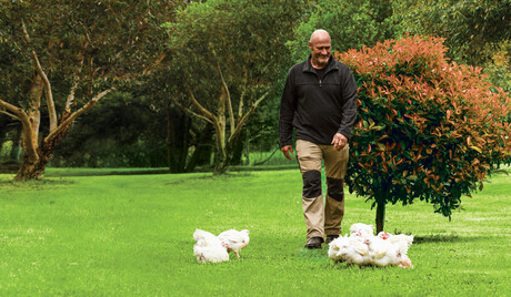 Provenance trend strong in poultry industry