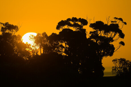 Energy Australia prepares for scorching summer