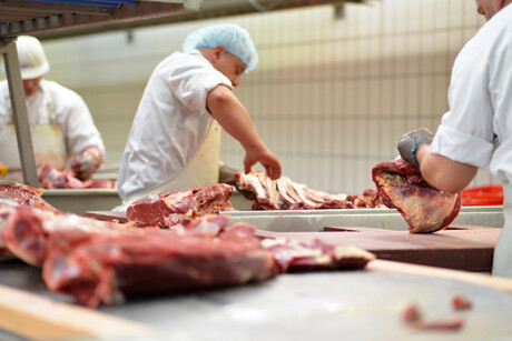 New Zealand updates micro abattoir risk management program