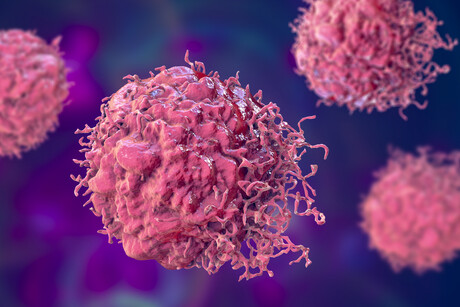 Enzyme-targeting drug stops tumour growth in multiple cancers