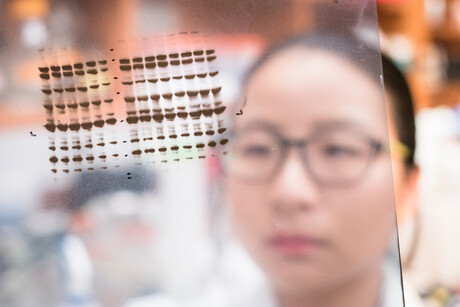 Image integrity best practice: the problem with altering western blots Image integrity best practice: the problem with altering western blots