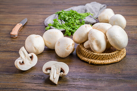 Improving vitamin D intake in aged care