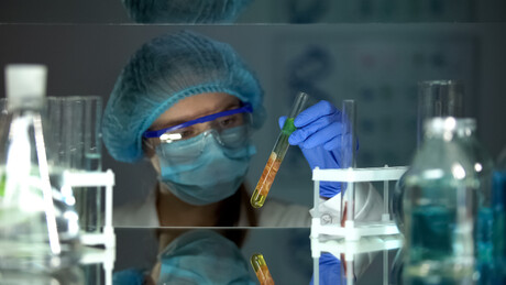 Research: How common preservatives affect gut health Research: How common preservatives affect gut health