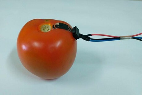 The &#39;plant-wearable&#39; pesticide sensor