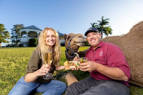 Camel milk products win a trifecta at the Sydney Royal Cheese and Dairy Show