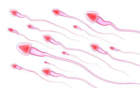 Ultrasound found to boost motility of &#39;lazy&#39; sperm
