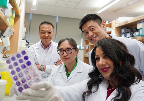 Zika virus vaccine used to battle brain cancer Zika virus vaccine used to battle brain cancer