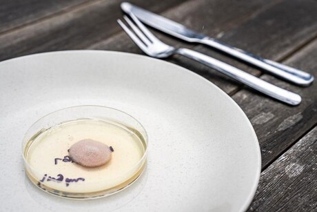 Meaty mould: could it be the smart food of the future? Meaty mould: could it be the smart food of the future?