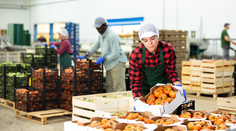 Meeting tomorrow's demands in the food &amp; beverage industry