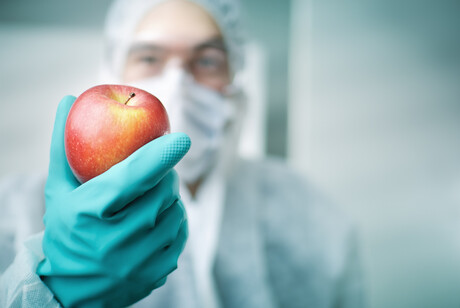 Unlocking the secrets of fruit quality