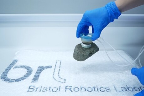Octopus inspires new gripper mechanism for robots Octopus inspires new gripper mechanism for robots