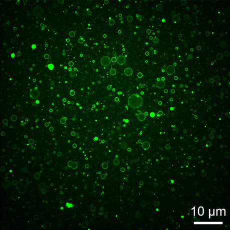 Creating self-assembling capsules for drug delivery