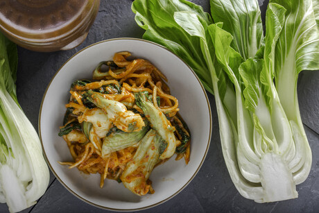 Upcycling kimchi cabbage waste into biodegradable plastic