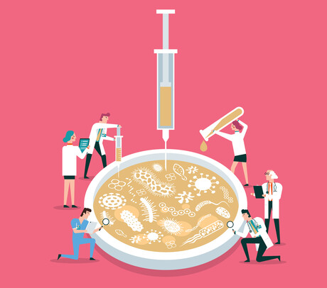 WHO updates drug-resistant priority pathogens list