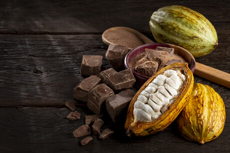 Choc science: using cocoa fruit to lower sugar in chocolate Choc science: using cocoa fruit to lower sugar in chocolate