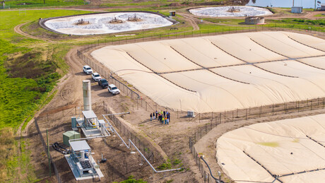 JBS Australia&#39;s Scone bioenergy system in operation