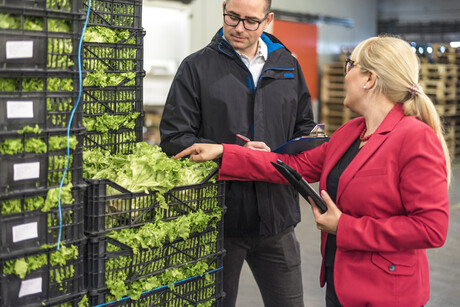 FSANZ call to industry for comment