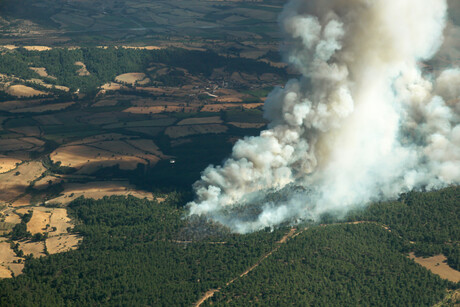Onboard AI for CubeSats enables earlier bushfire detection Onboard AI for CubeSats enables earlier bushfire detection