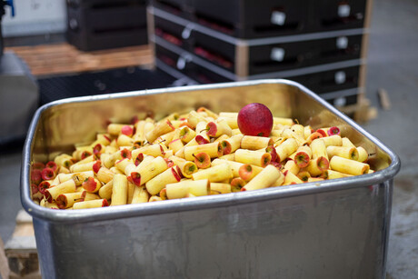 Fermentation project upcycles inedible food waste Fermentation project upcycles inedible food waste