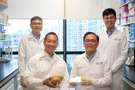 A new approach to treating drug-resistant glioblastoma