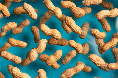 Bega Group reviews its peanut processing operations in Qld