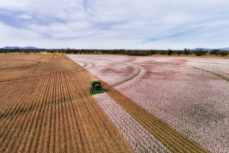 Nitrous oxide emissions grew 40% from 1980&ndash;2020