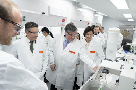 WEHI launches spinout company to tackle hard-to-treat cancers