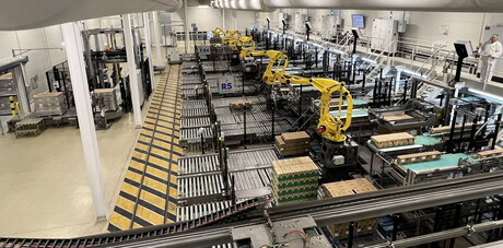 Central palletising system for 28 packing lines of savoury products