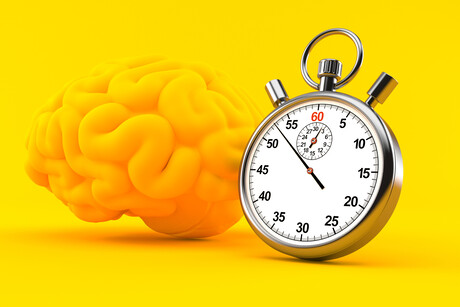 'Time cells' in the brain enable complex learning in mice 'Time cells' in the brain enable complex learning in mice