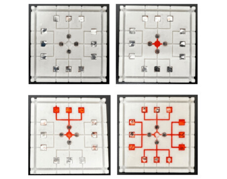 3D-printed chip detects foodborne pathogens