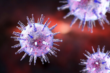 Epstein–Barr virus promotes faster nasopharyngeal cancer growth Epstein–Barr virus promotes faster nasopharyngeal cancer growth