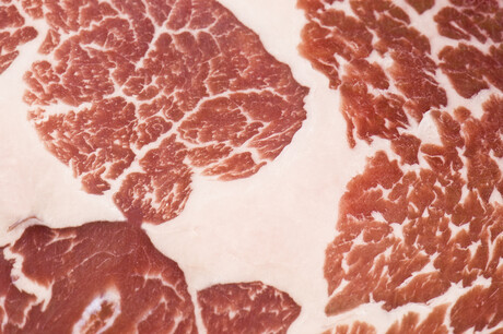 A marbled swirl for plant-based meat