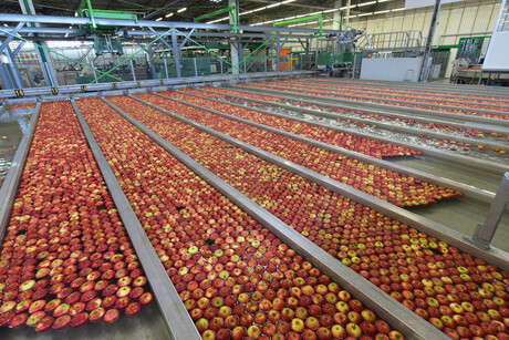 The development of food GMPs The development of food GMPs