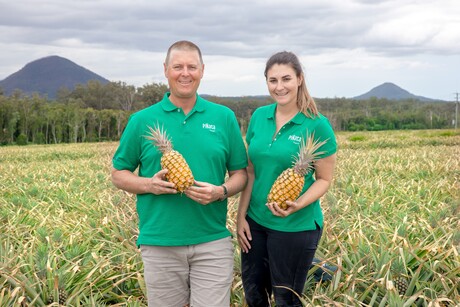 Fruit producer inducted into Queensland Business Leaders Hall of Fame