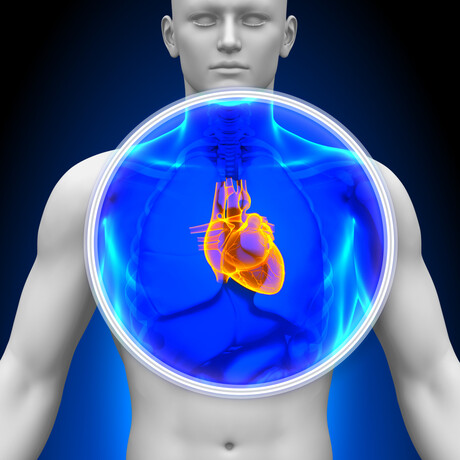 MRI can predict heart failure risk in the general population