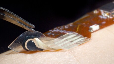 Stretchy gel sensor detects solid-state skin biomarkers Stretchy gel sensor detects solid-state skin biomarkers