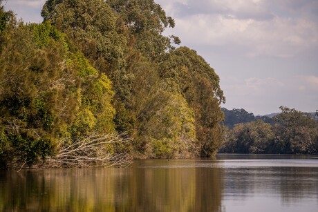 Williams River remediation project kicks off
