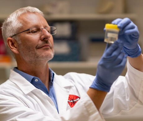 Malaria parasites tricked into ingesting drugs