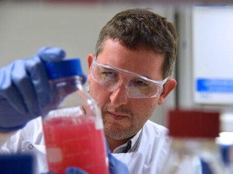 UQ to help the world&#39;s biggest companies transition to net zero