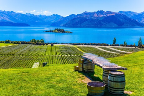 Zeroing in on sustainable wines in NZ Zeroing in on sustainable wines in NZ