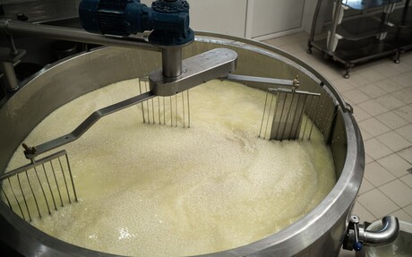 Exploring the microbiome of the foods we eat